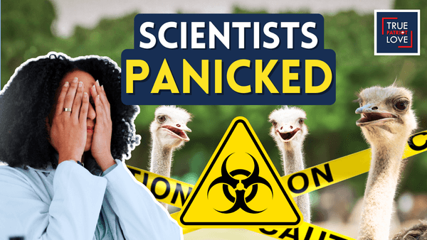 Why Canada’s Outbreak Response Failed